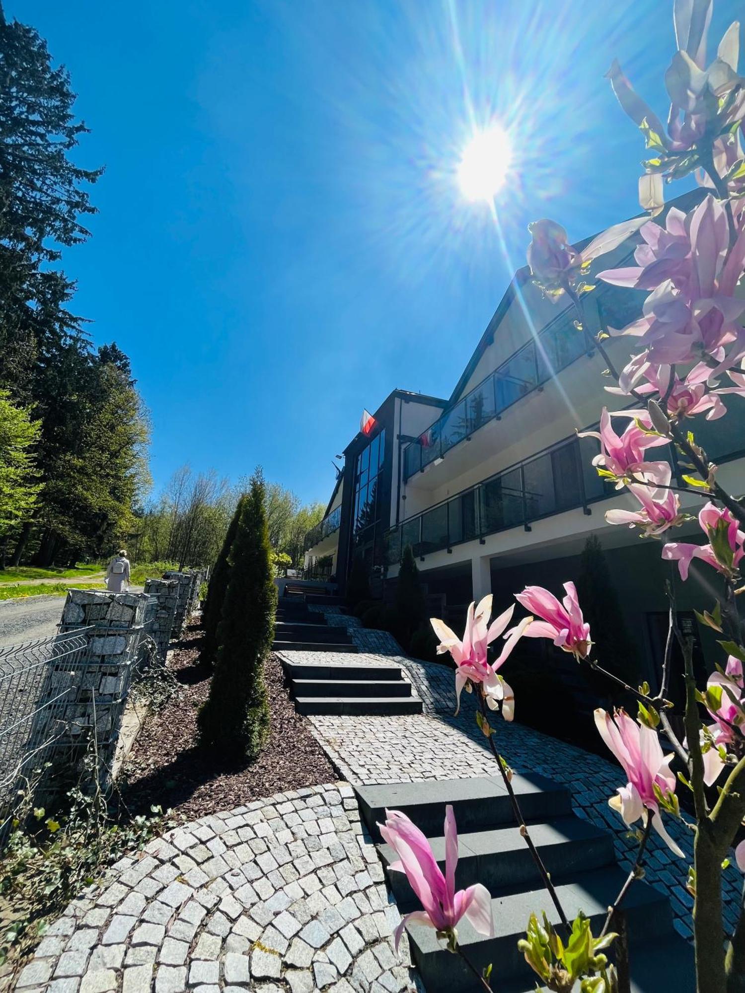 La Park Aparthotel Kudowa-Zdrój Extérieur photo